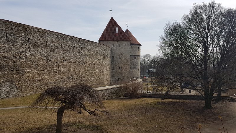 Tallinn (17).jpg